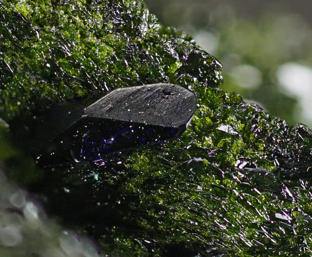 Volborthite with Malachite & Azurite on Dickite - image 4