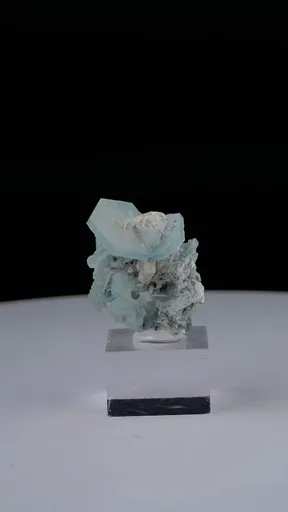 specimen video