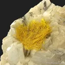 Wakabayashilite on Calcite - image 1