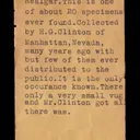 Wakabayashilite on Calcite - image 8