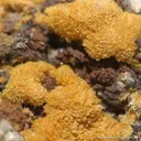 Walpurgite - image 2