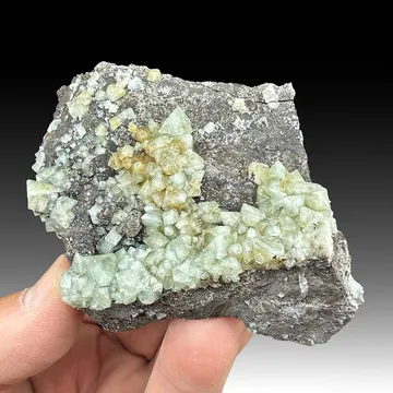 Wardite