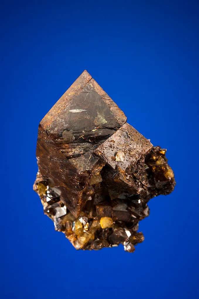 Wardite