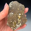 Wardite from Rapid Creek, Yukon, Canada - image 1