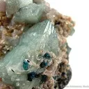 Wardite & Goyazite on Lazulite - image 2