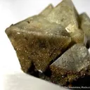 Wardite (Huge Xl!) - image 2