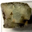 Wardite (Huge Xl!) - image 1