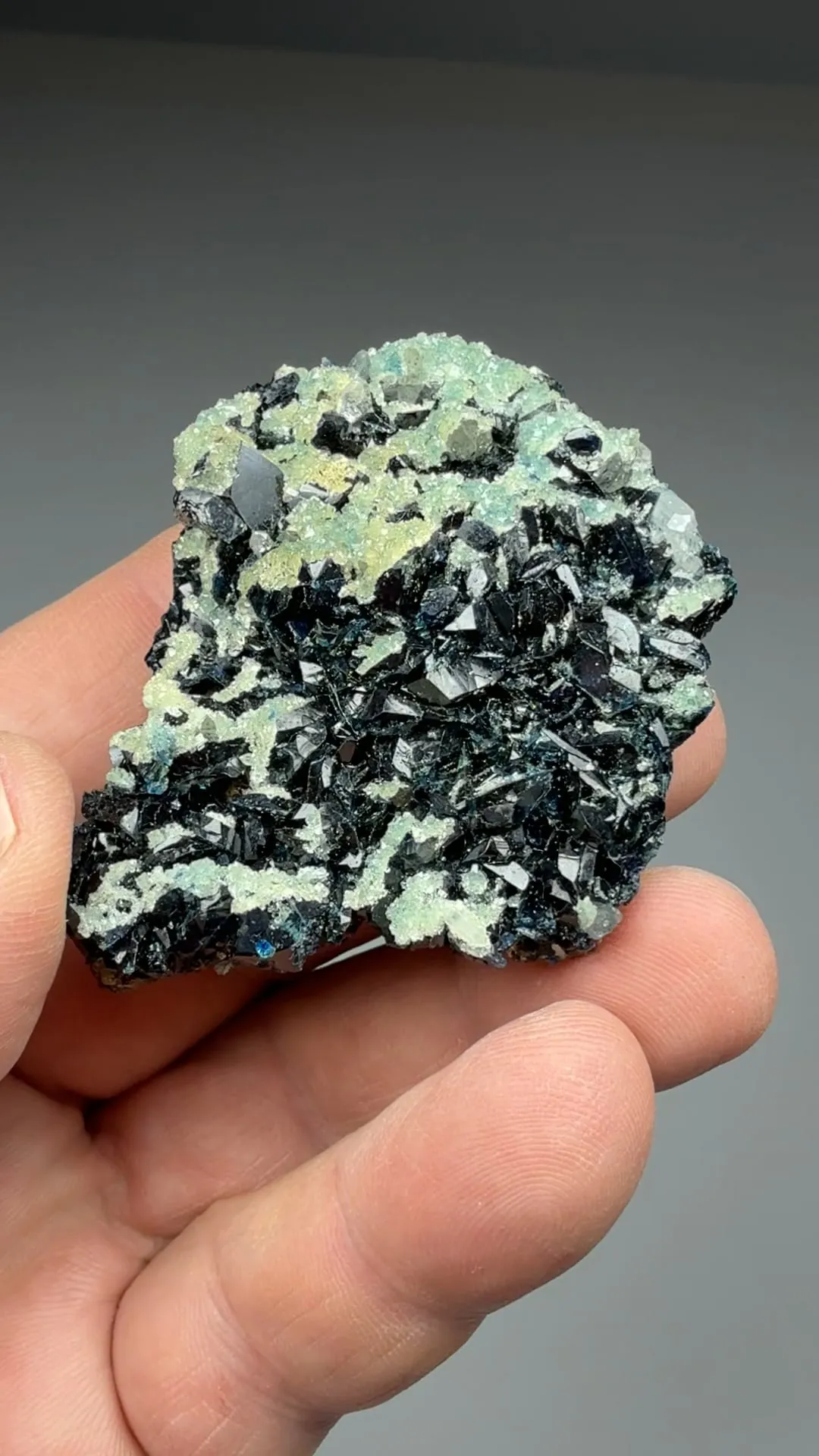 Wardite on Lazulite - image 2