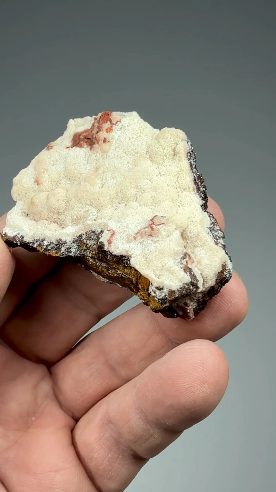 Wardite with Crandallite - image 2