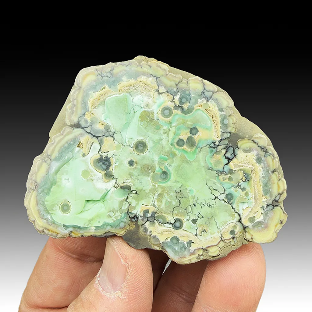 Wardite with Variscite image