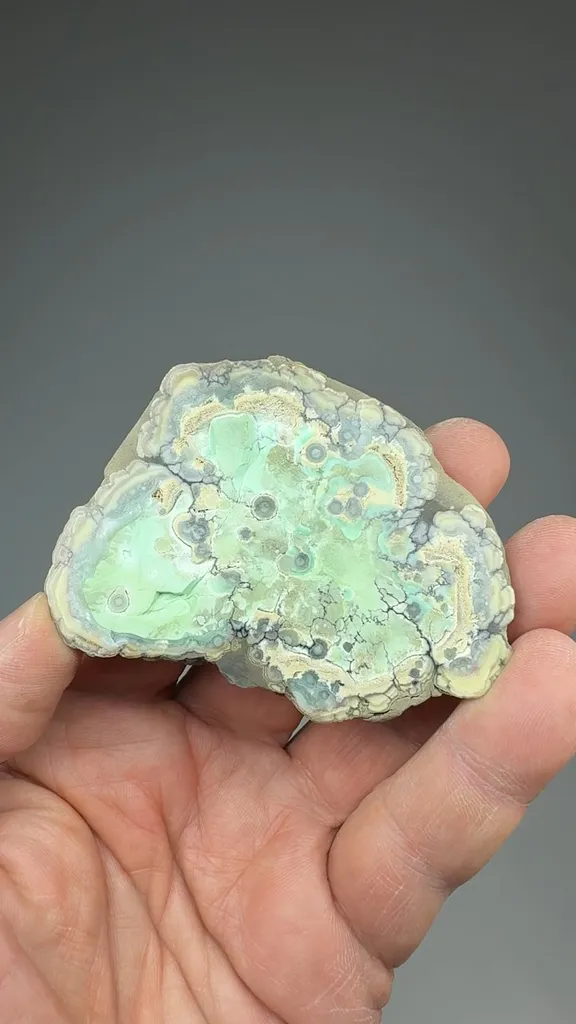 Wardite with Variscite - image 2
