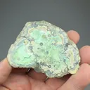 Wardite with Variscite - image 2