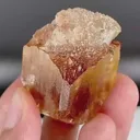 specimen video