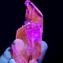 Water Etched Transparent Pink Kunzite Crystal, Fluorescent  Collector's  Mineral from Afghanistan - image 6