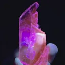 specimen video