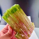 Watermelon Tourmaline from Afghanistan - image 5