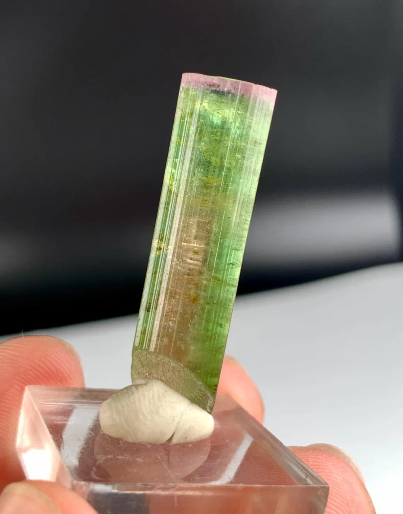 Watermelon Tourmaline from Afghanistan - image 6