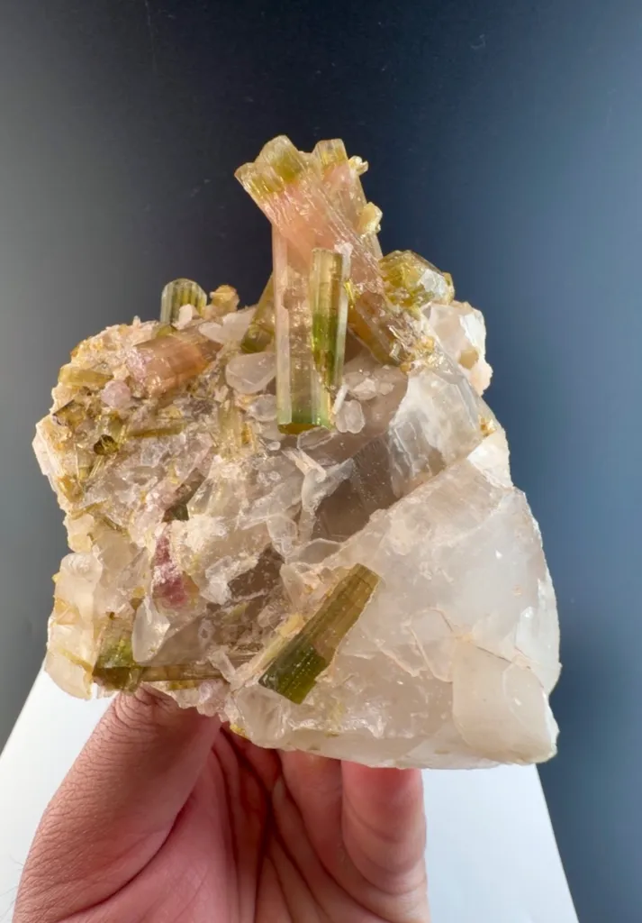 Watermelon Tourmaline from Afghanistan - image 6