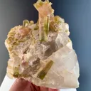 Watermelon Tourmaline from Afghanistan - image 6