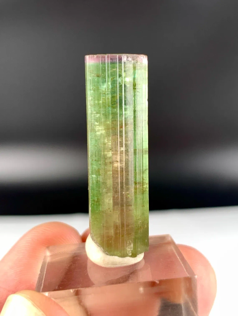 Watermelon Tourmaline from Afghanistan image