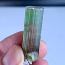 specimen video