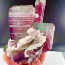 Watermelon Tourmaline from Afghanistan - image 4