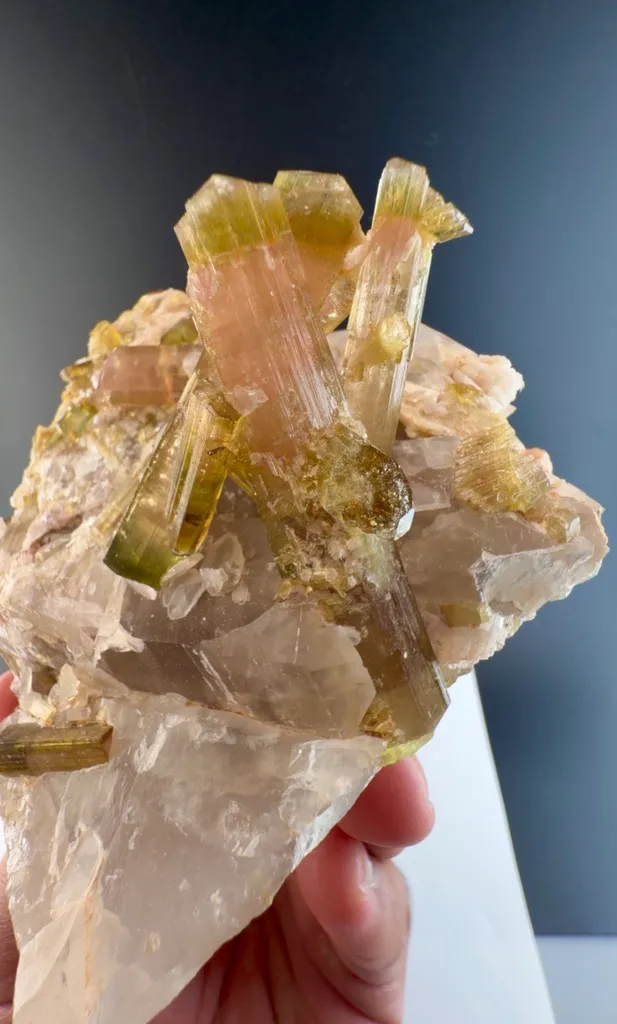 Watermelon Tourmaline from Afghanistan - image 2