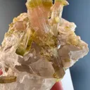 Watermelon Tourmaline from Afghanistan - image 2