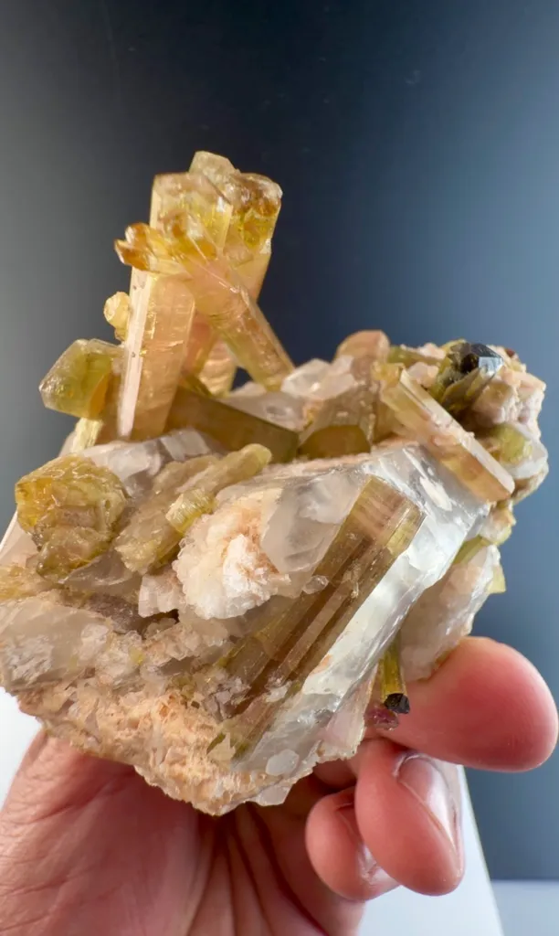 Watermelon Tourmaline from Afghanistan - image 4