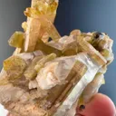 Watermelon Tourmaline from Afghanistan - image 4