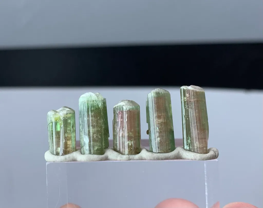 Watermelon Tourmaline from Afghanistan image