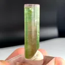 Watermelon Tourmaline from Afghanistan - image 5
