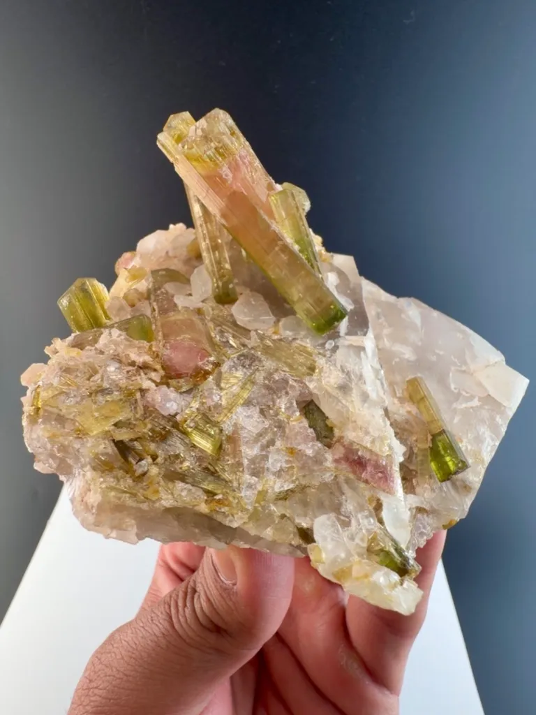 Watermelon Tourmaline from Afghanistan image
