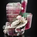 Watermelon Tourmaline from Afghanistan - image 1