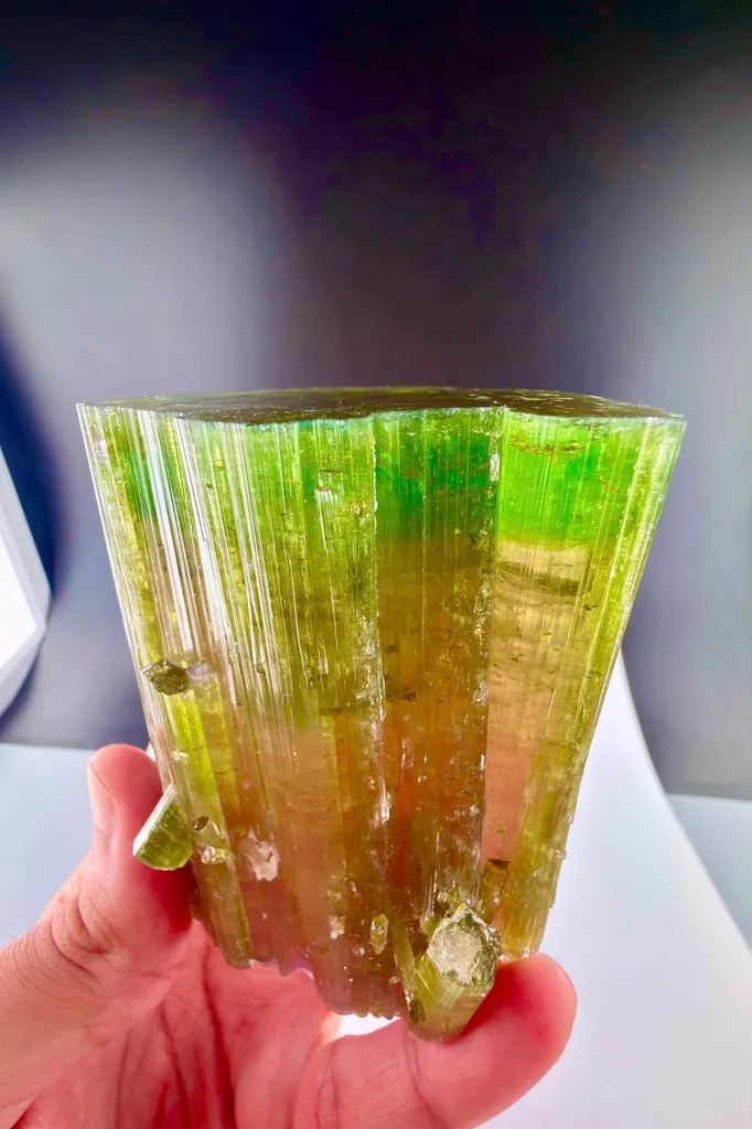 Watermelon Tourmaline from Afghanistan - image 2