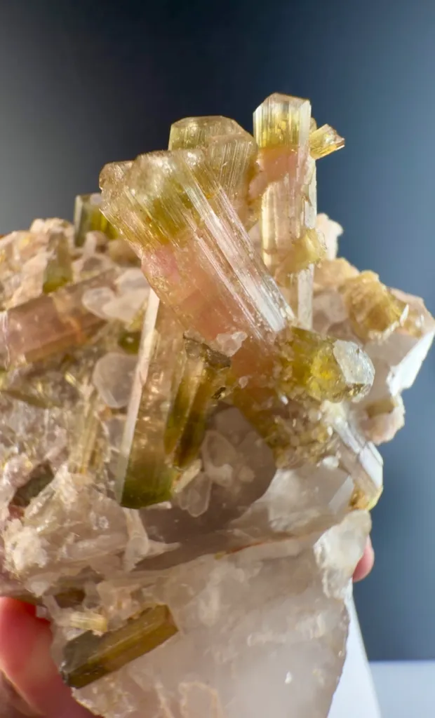 Watermelon Tourmaline from Afghanistan - image 3