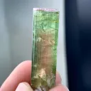 Watermelon Tourmaline from Afghanistan - image 6