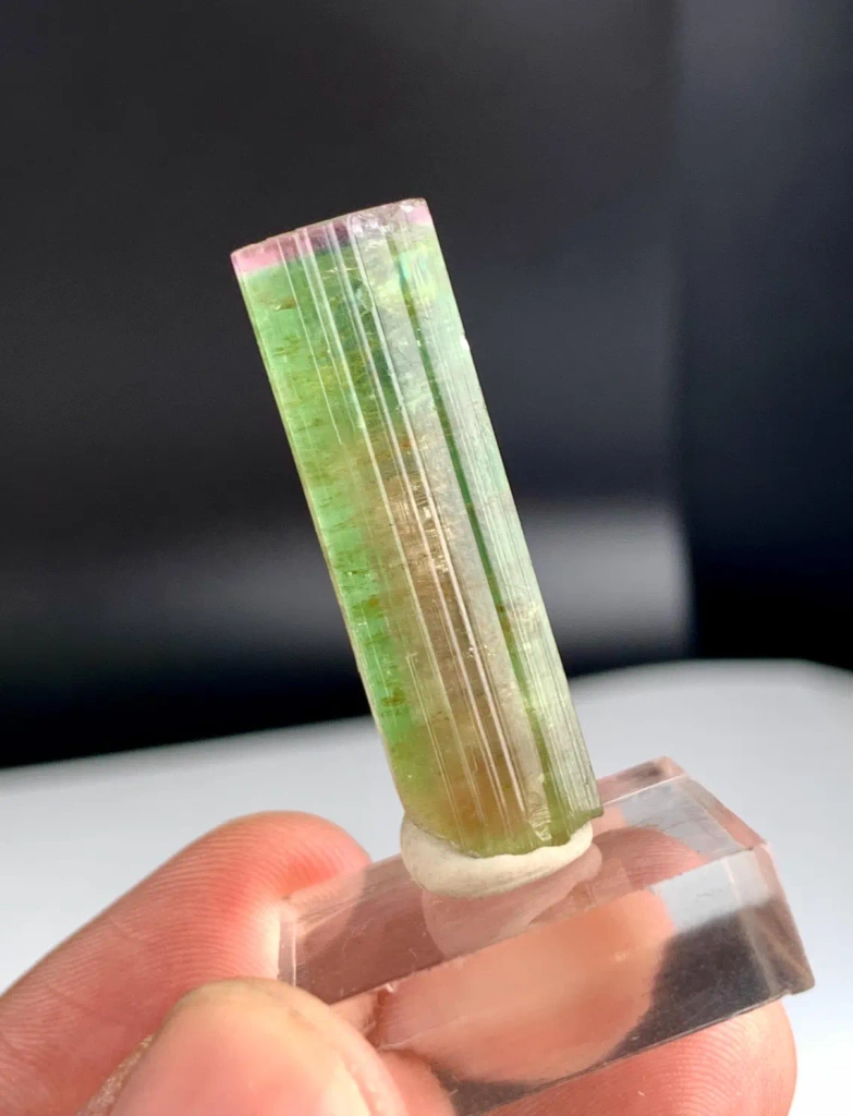 Watermelon Tourmaline from Afghanistan - image 4