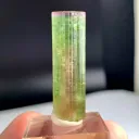 Watermelon Tourmaline from Afghanistan - image 3