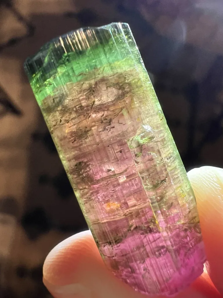 Watermelon Tourmaline from Brazil, Cruzeiro mine -1209 image