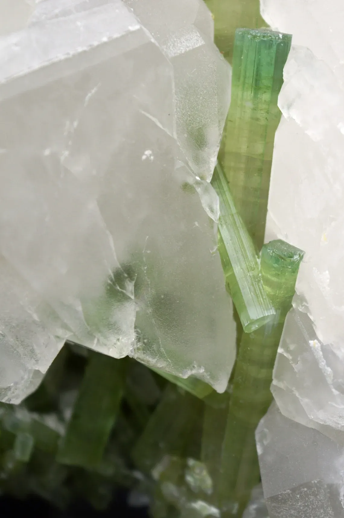 Watermelon Tourmaline Quartz - 576 grams - Pederneira mine, São José da Safira, Minas Gerais, Brazil - image 6