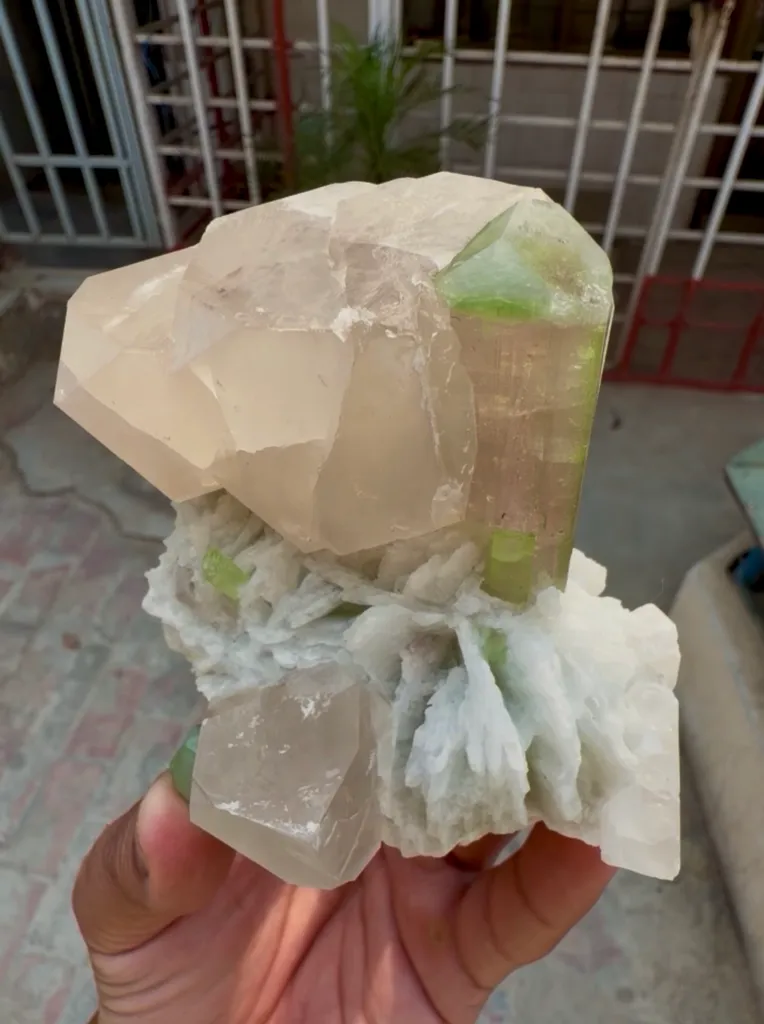 Watermelon Tourmaline with Quartz from Afghanistan - image 4