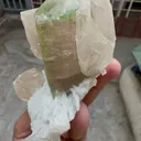 Watermelon Tourmaline with Quartz from Afghanistan - image 6