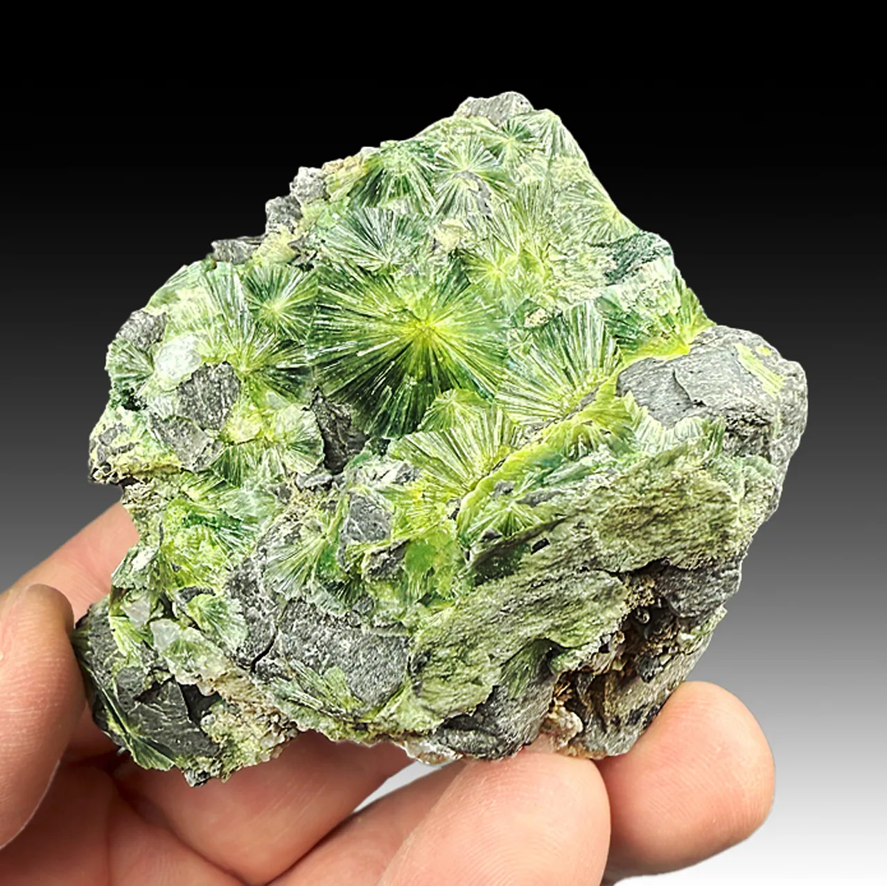 Wavellite - image 1