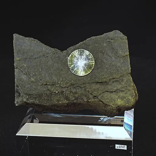 specimen video