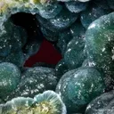 Wavellite - image 3