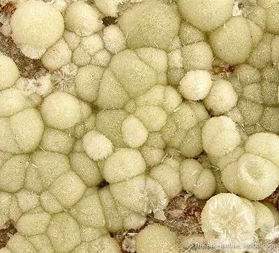Wavellite - image 3