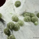 Wavellite - image 2