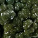 Wavellite - image 3