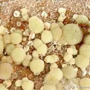 Wavellite - image 3